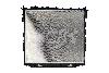 Radiator CSF 3972