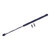 Trunk Lid Lift Support Monroe Shocks & Struts 300239