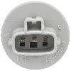 Multi-Purpose Light Bulb Socket Standard Ignition S2612