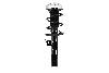 Suspension Strut and Coil Spring Assembly MacPherson Ride Control MP1333861L