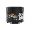 Engine Oil Filter Parts Master 67099