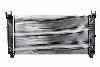 Radiator OSC 13029E