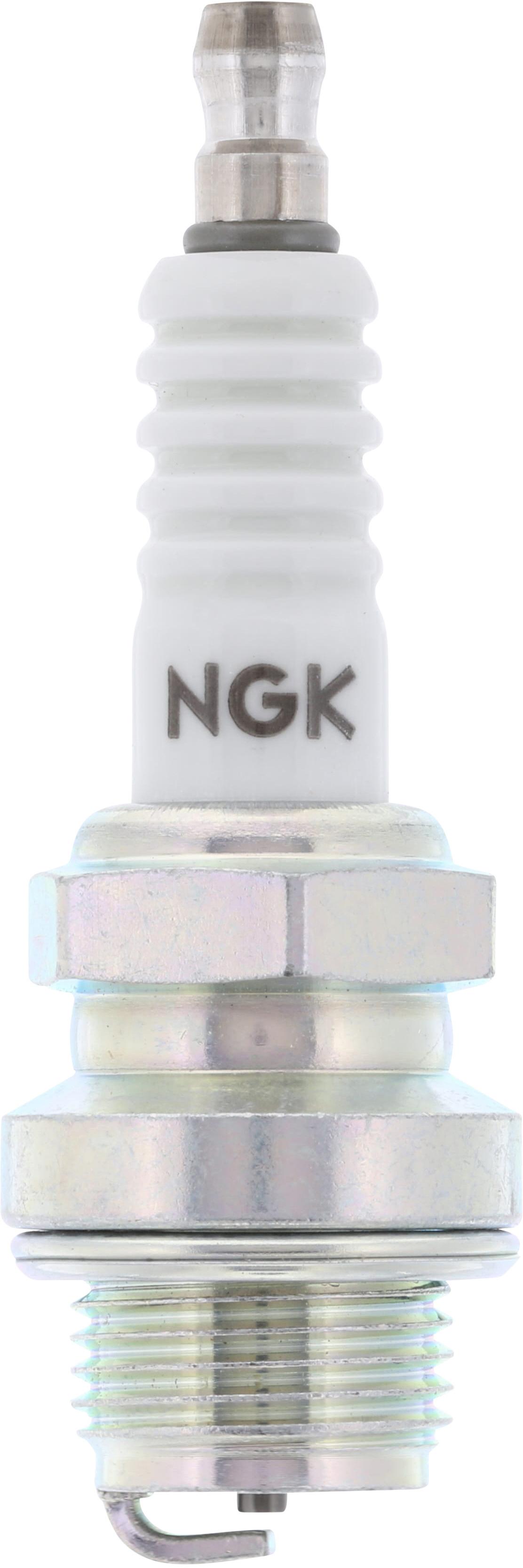 Spark Plug NGK 3010