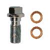 Banjo Bolt and Fitting AGS BJB-8