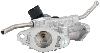 Exhaust Gas Recirculation (EGR) Valve Delphi EG10738