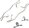 Disc Brake Hardware Kit Dorman - First Stop HW10358