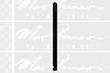 Suspension Shock Absorber MacPherson Ride Control MF347212