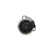 Exhaust Gas Recirculation (EGR) Valve Standard Ignition EGV1134