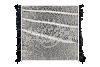 Radiator CSF 3987
