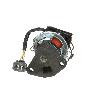 Exhaust Gas Recirculation (EGR) Valve Standard Ignition EGV527