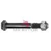 Suspension Shock Absorber Bolt Meritor E14780