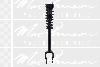 Suspension Strut and Coil Spring Assembly MacPherson Ride Control MP1345785
