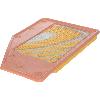 Engine Air Filter Parts Master WA610414