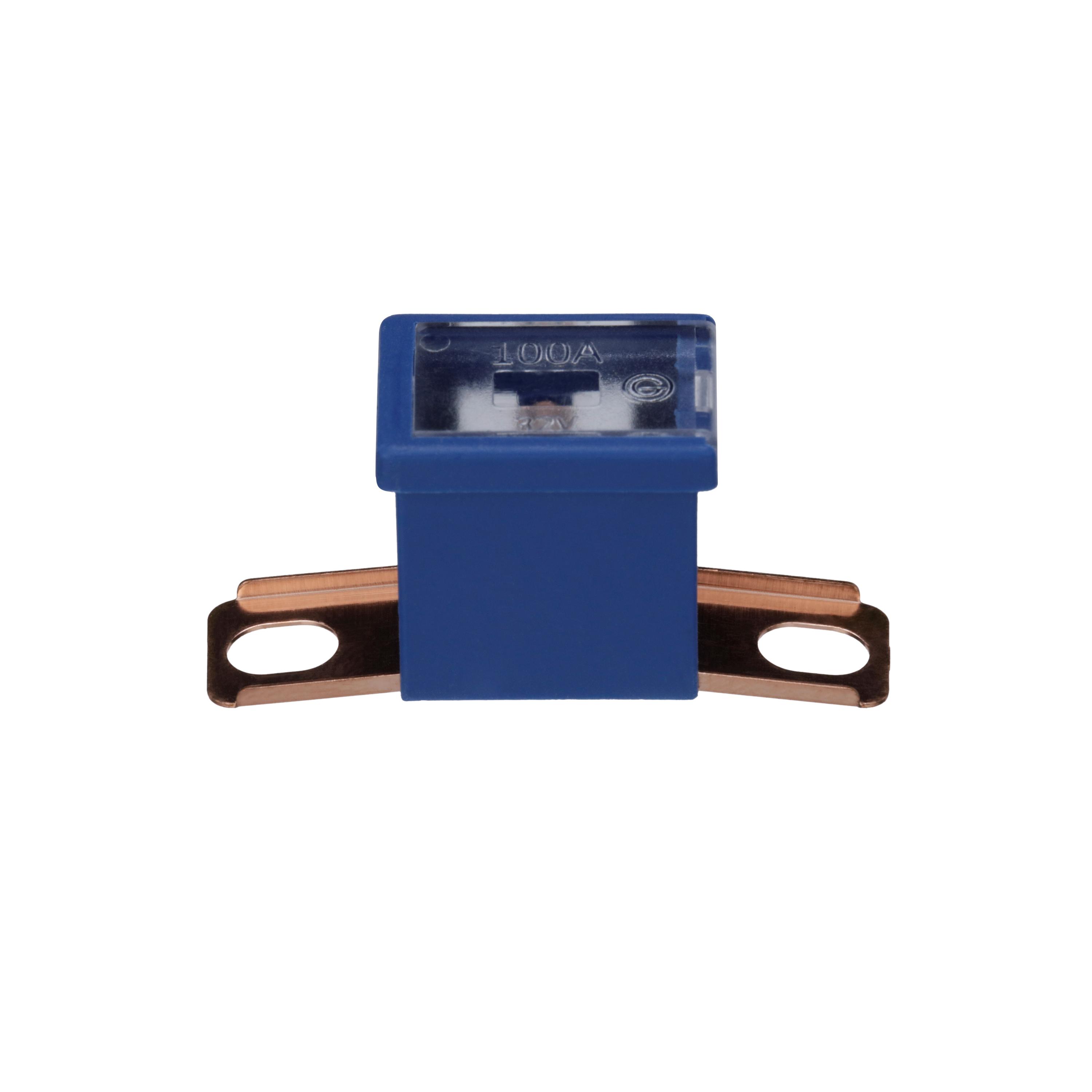 Multi-Purpose Fuse Bussmann BP-FLD-100-RP