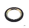 Engine Crankshaft Seal Timken SL260217