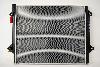 Radiator OSC 13565