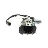 Tailgate Latch Assembly Standard Ignition DLA2116