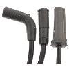 Spark Plug Wire Set Blue Streak 10070