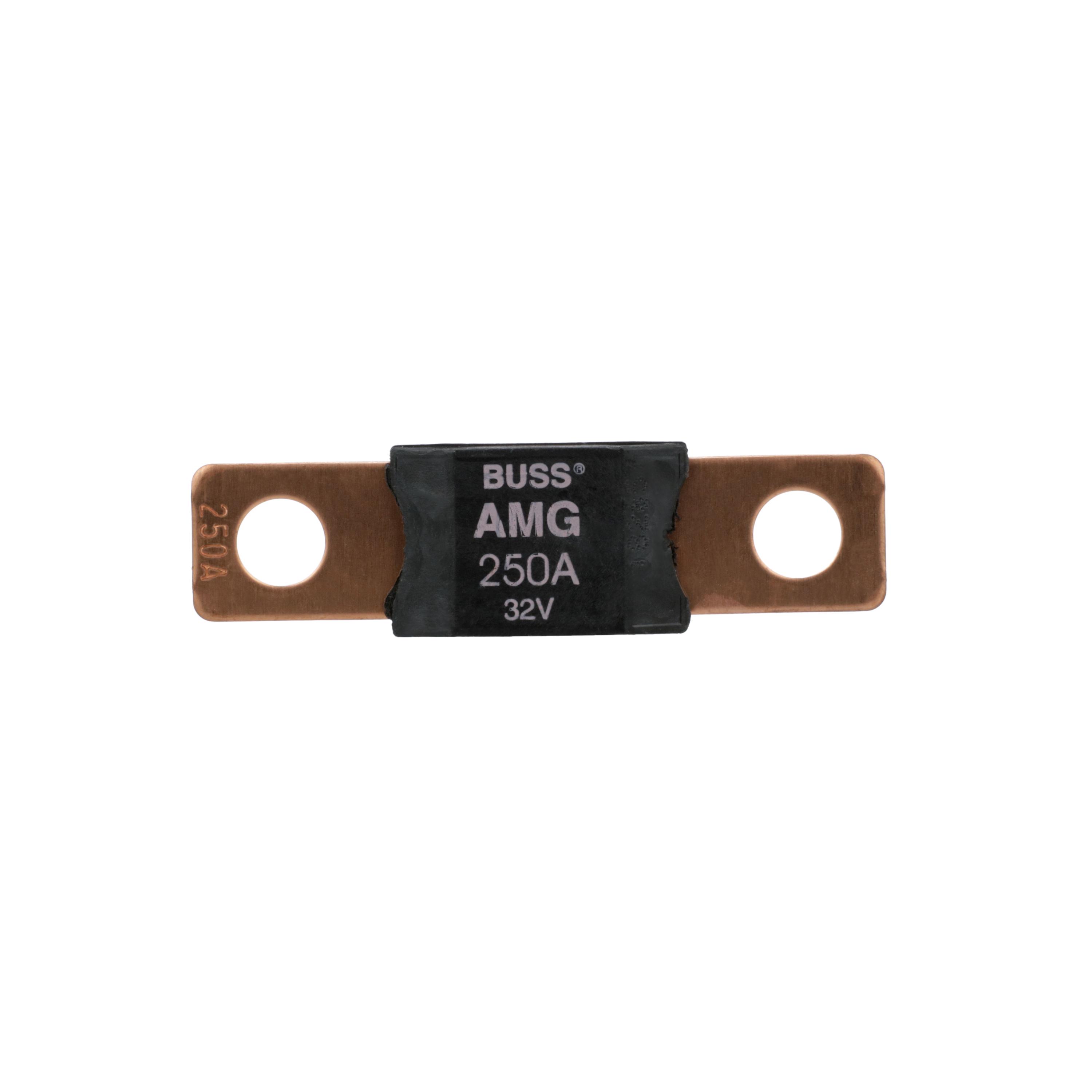 Multi-Purpose Fuse Bussmann BP-AMG-250-RP