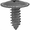 Screw Auveco AP20455